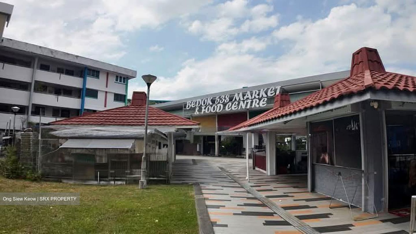 Blk 539 Bedok North Street 3 (Bedok), HDB 3 Rooms #595712821